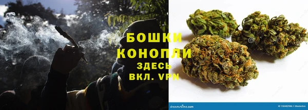 spice Богданович