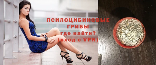 spice Богданович