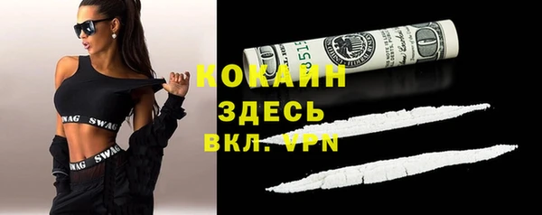 spice Богданович