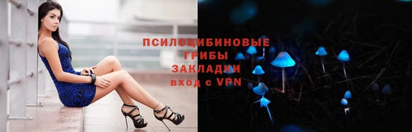 spice Богданович