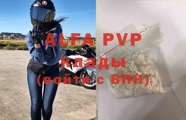 spice Богданович