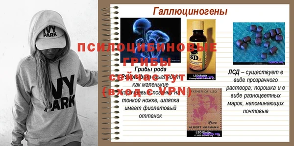MDMA Богородицк