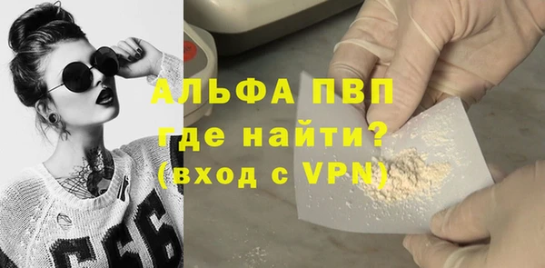 spice Богданович