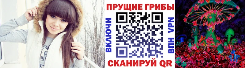 сколько стоит  Тобольск  Галлюциногенные грибы Psilocybine cubensis 